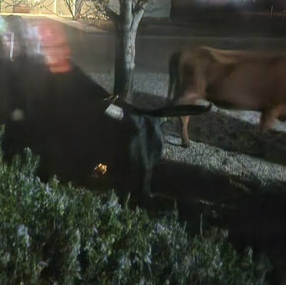 Meet your Posher, Jessica - Picture 12 of 16